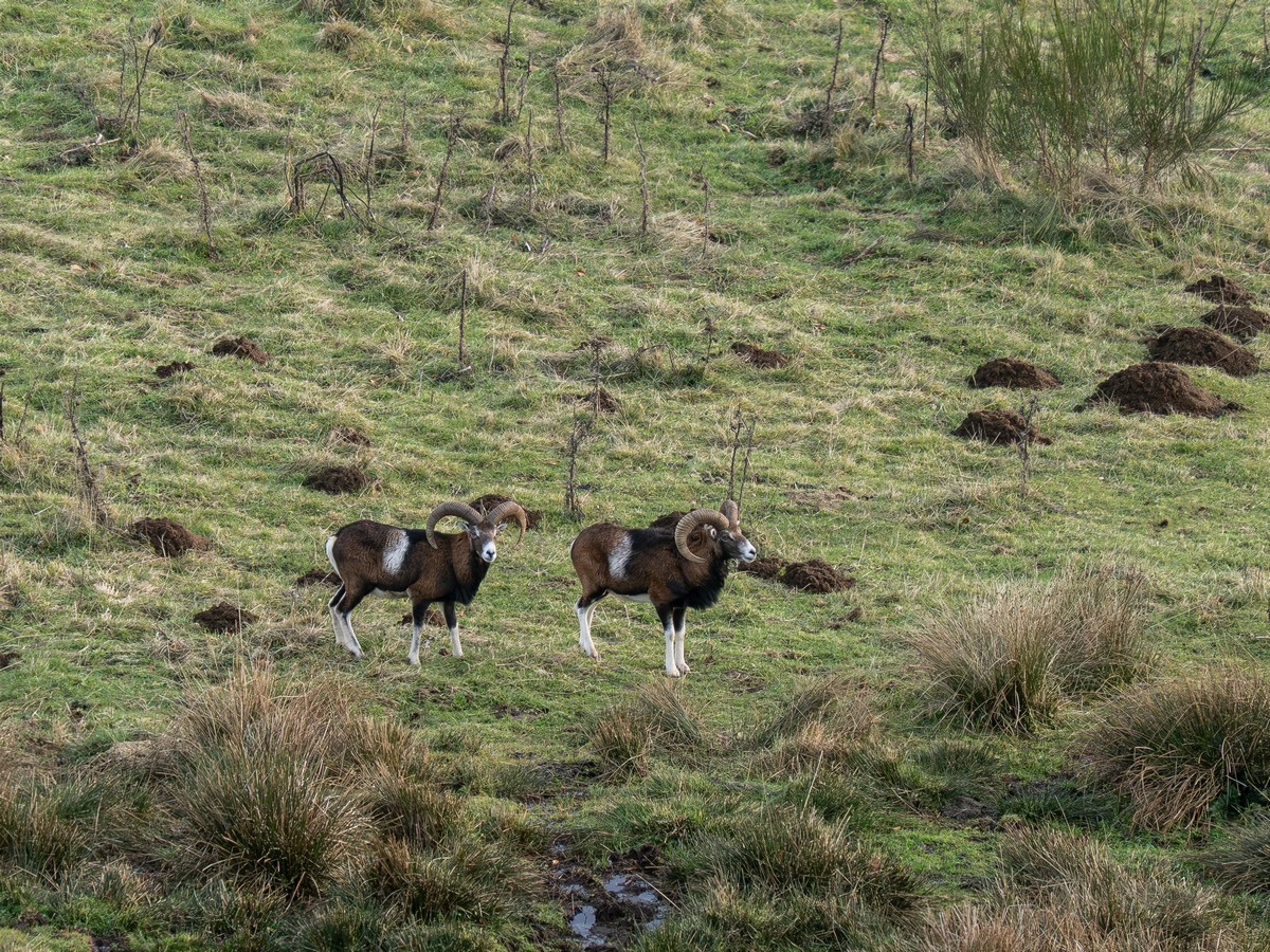 12122025-12 12 2025 (1).jpg